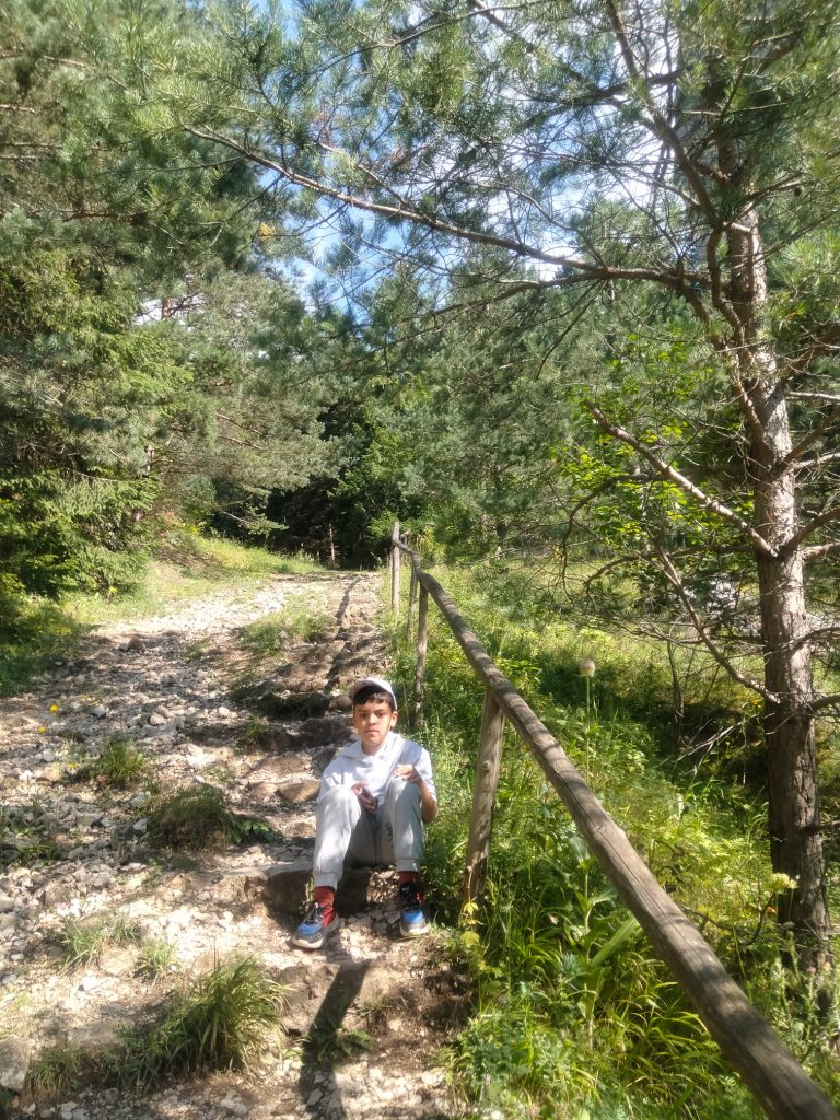 tabăra de jurnalism